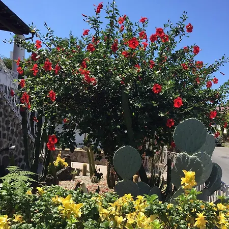 Casa Sweet-lama Apartment